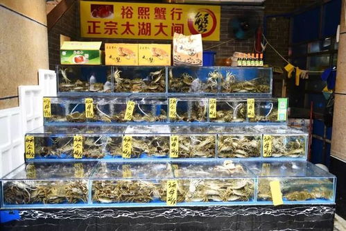 水产市场“慢摇”有方 鱼美人打“上位”牌，珍宝水产如何做到物美价稳？\n踩着萨克斯的慵懒节奏，经营者有自己的经营慢哲学与数字监管快速响应器的平衡乐趣。这或许也正是这座城市独一无二的‘慢火得臻味’