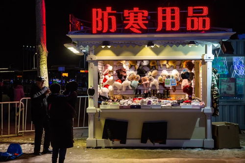 哈尔滨冰雪大世界商服慢摇吧经营权拍卖公告深度解读